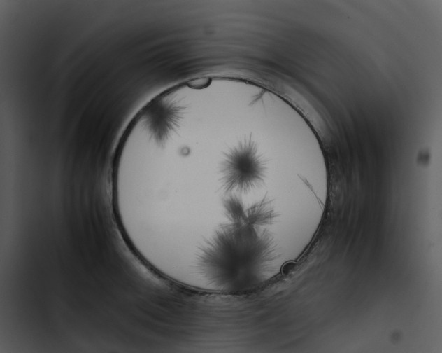 X0000102861092200809081301