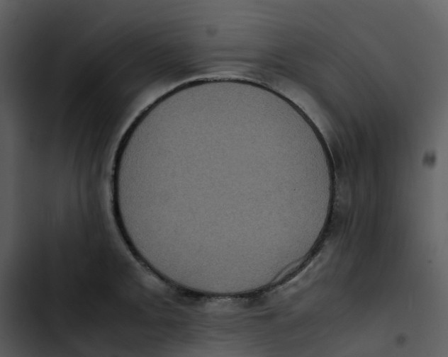 X0000102861093200809081301