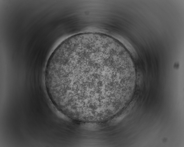 X0000102861094200809081300