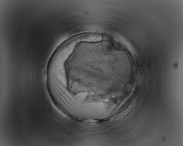 X0000102861095200809081300