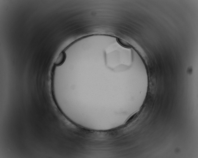 X0000102861096200809081300