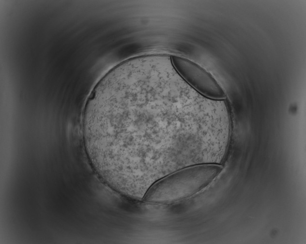 X0000102861097200809081300