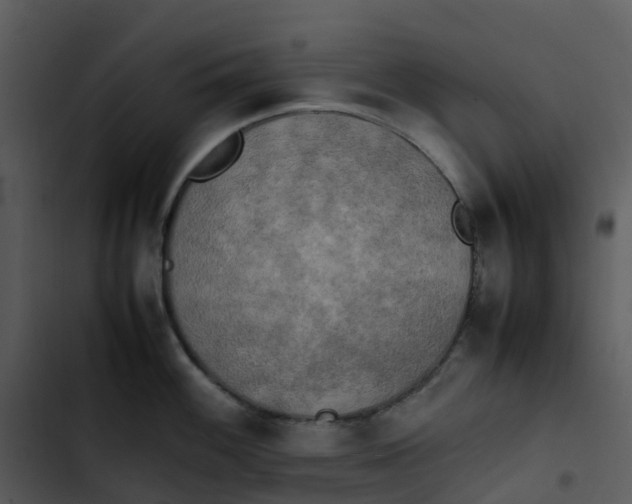 X0000102861100200809081300