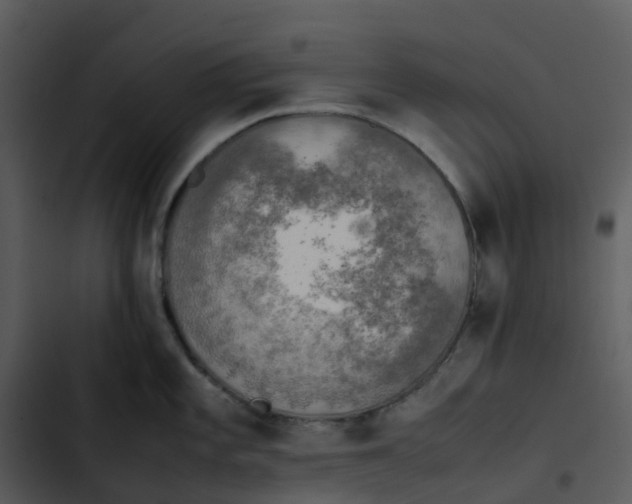 X0000102861101200809081300