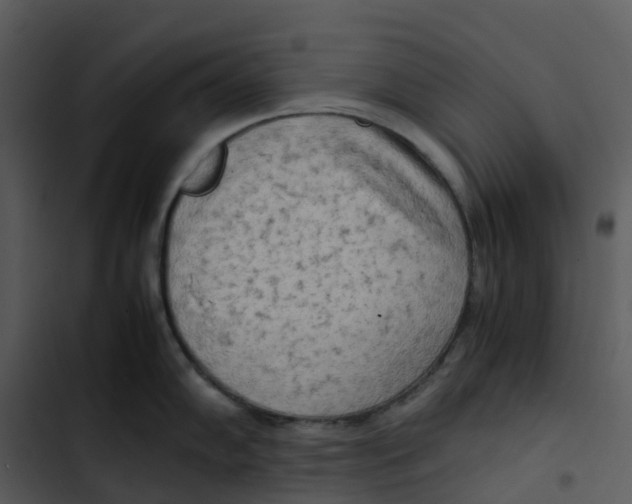 X0000102861102200809081300