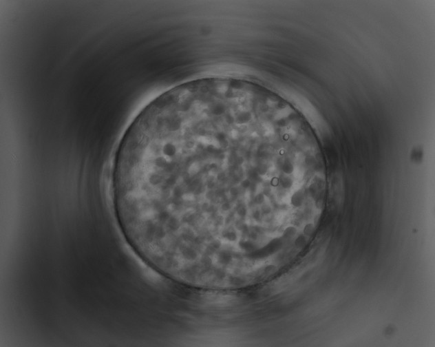 X0000102861103200809081300