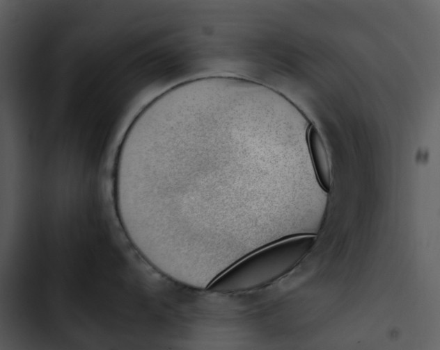 X0000102861104200809081300