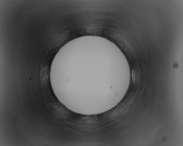 X0000102861107200809081300