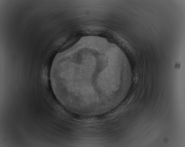 X0000102861108200809081300