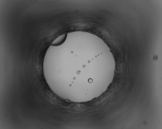 X0000102861109200809081300