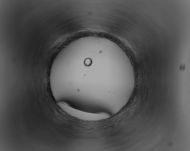 X0000102861110200809081300