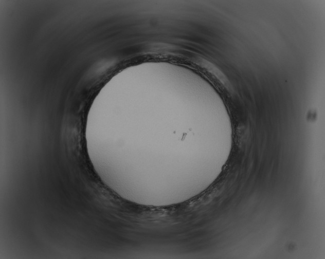 X0000102861111200809081300