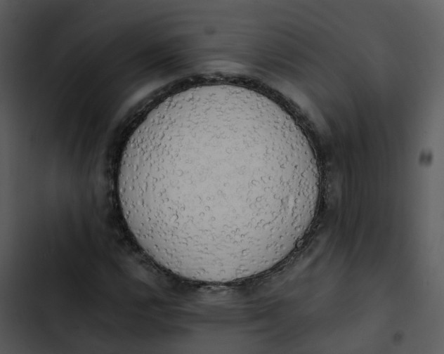 X0000102861112200809081300