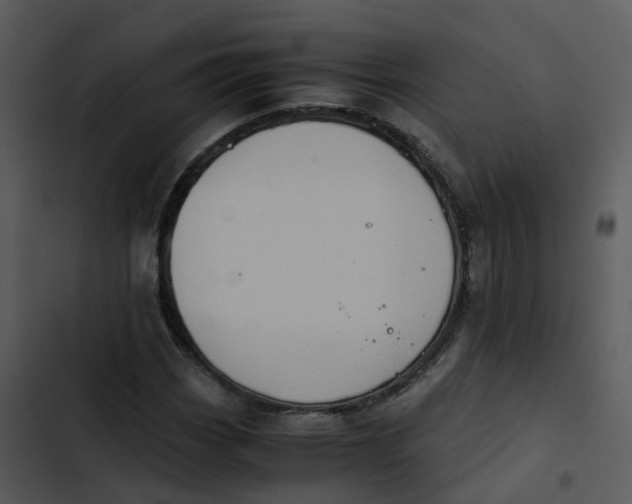 X0000102861113200809081300