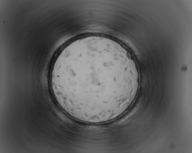 X0000102861114200809081300