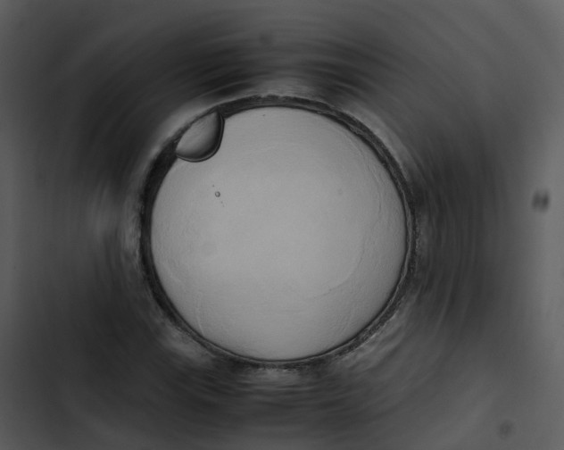 X0000102861115200809081300