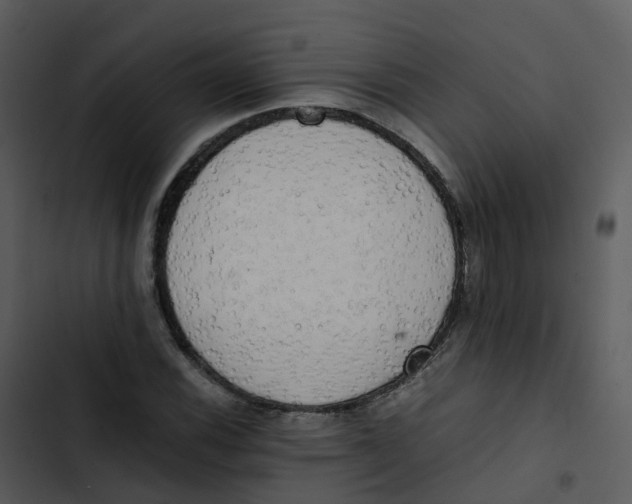 X0000102861116200809081300