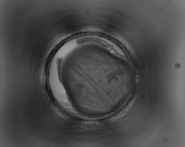 X0000102861117200809081300