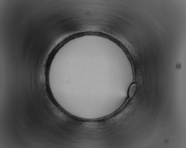 X0000102861118200809081300