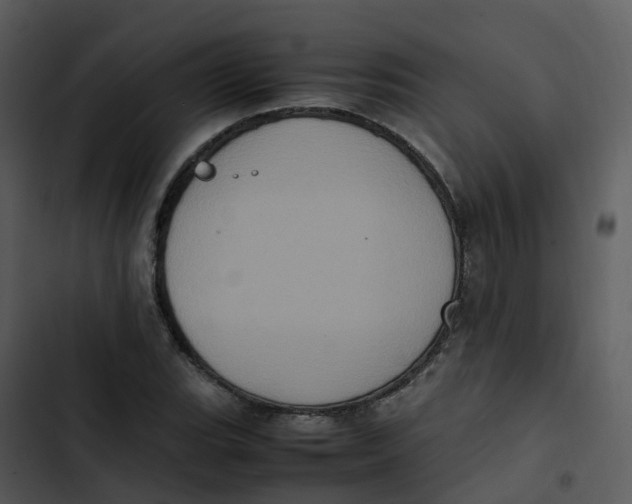 X0000102861119200809081300