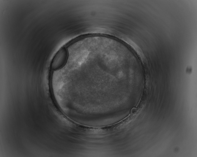 X0000102861120200809081300