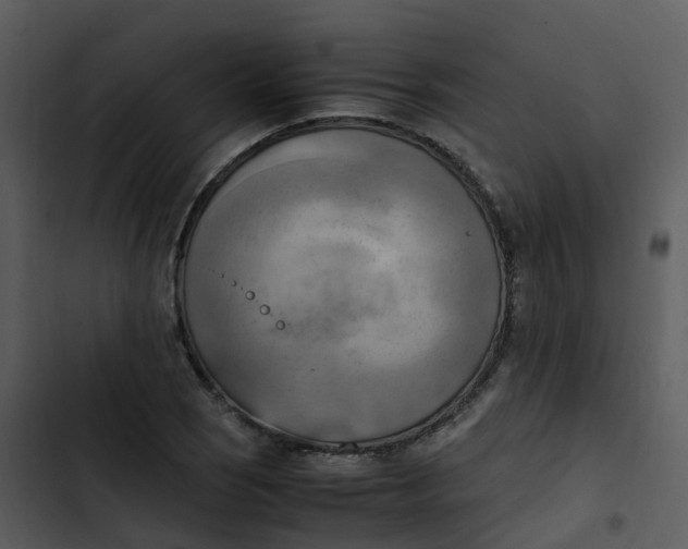 X0000102861121200809081300