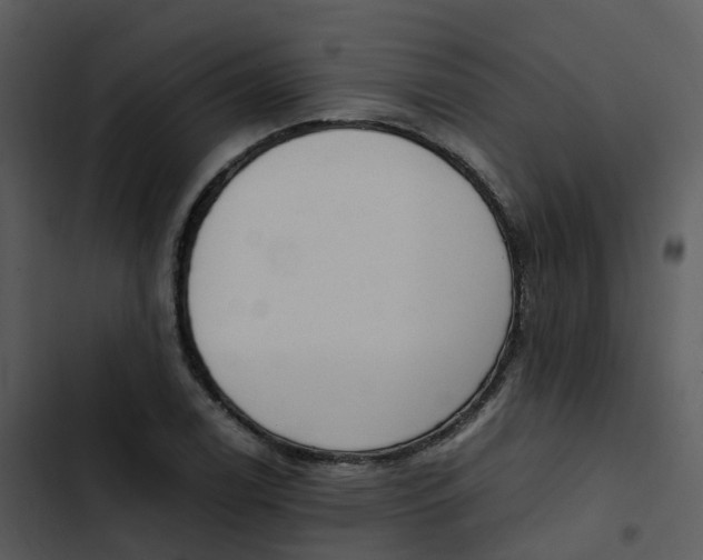 X0000102861122200809081300