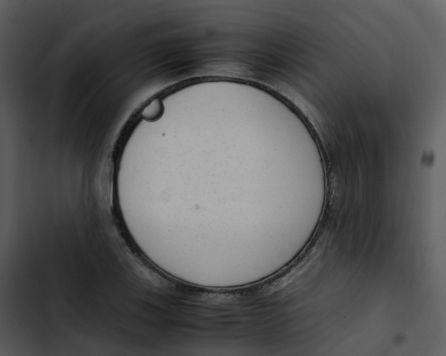 X0000102861123200809081300