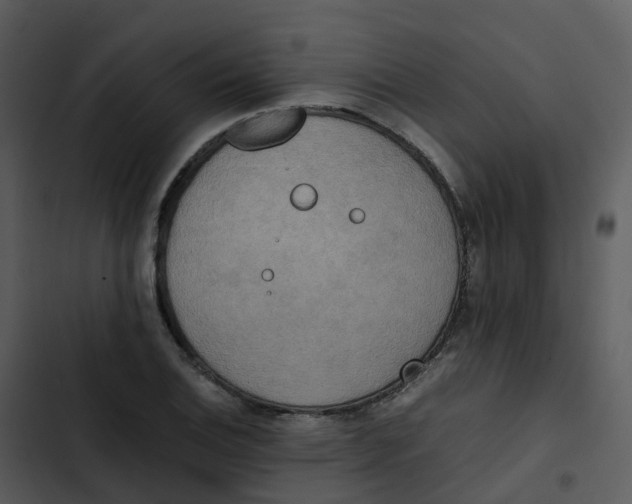 X0000102861124200809081300