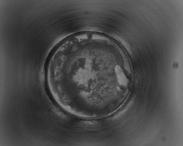 X0000102861125200809081300