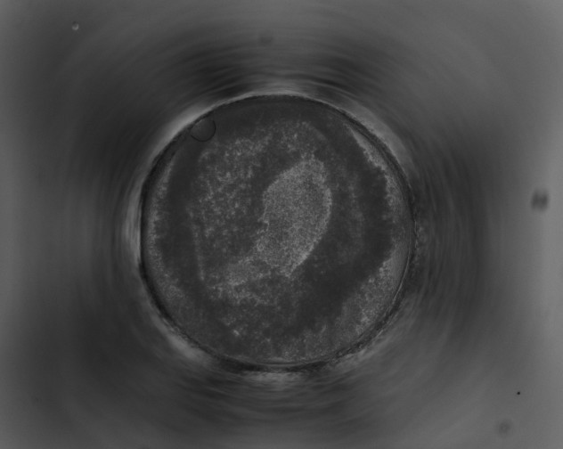 X0000102861127200809081300