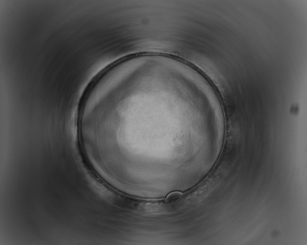 X0000102861128200809081300