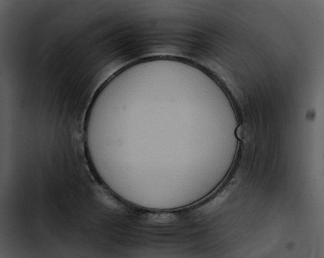 X0000102861129200809081300