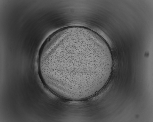 X0000102861132200809081300