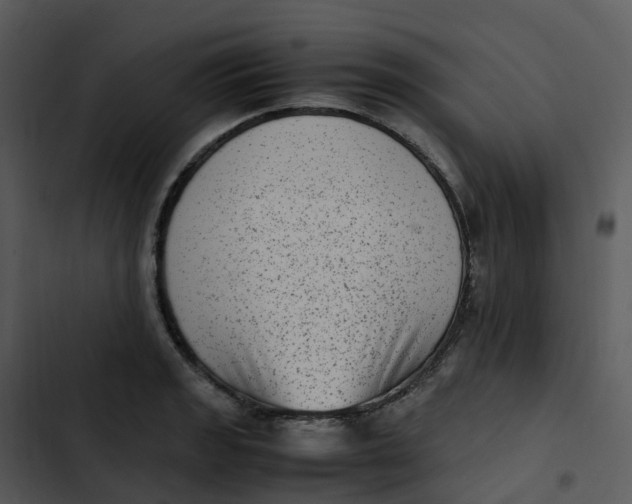 X0000102861133200809081300