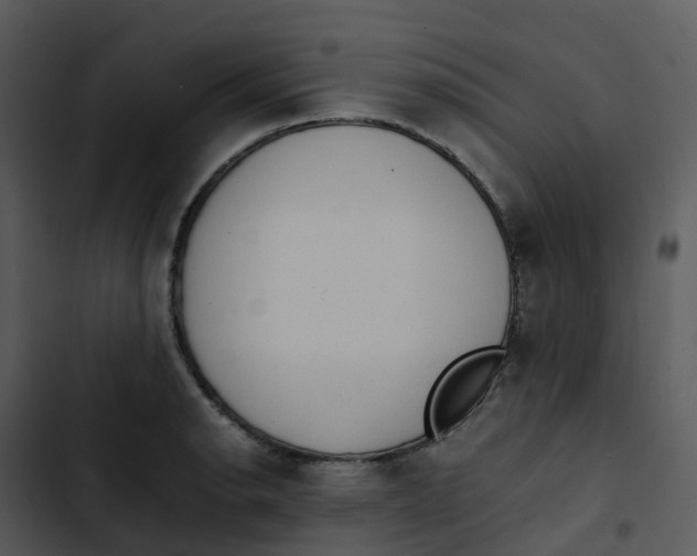 X0000102861134200809081300