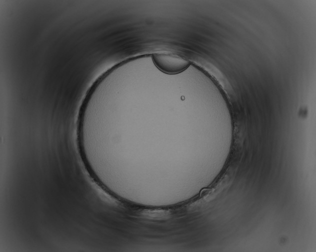 X0000102861135200809081300