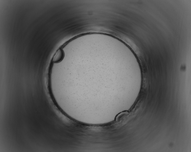 X0000102861136200809081300