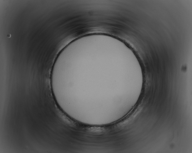 X0000102861137200809081300