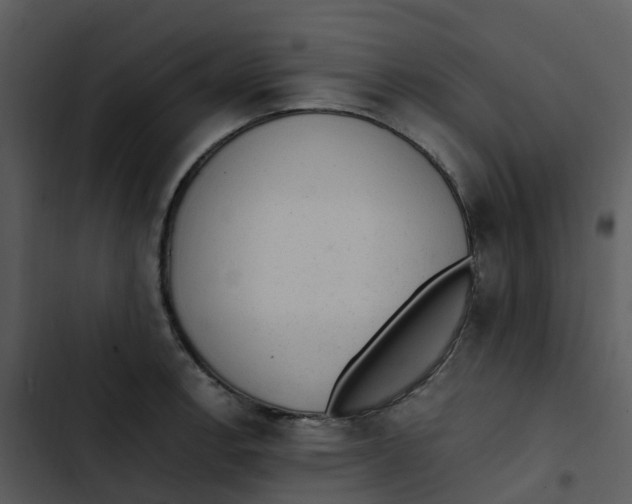 X0000102861138200809081300