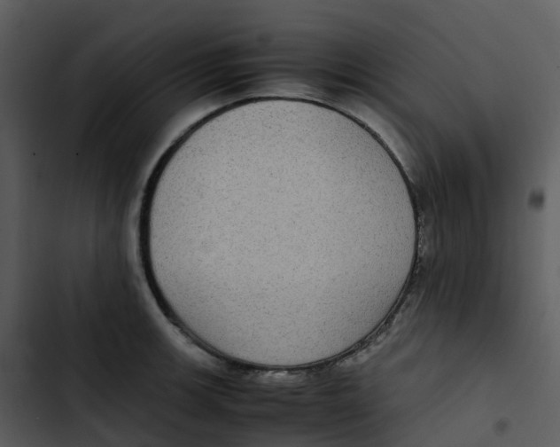 X0000102861139200809081300