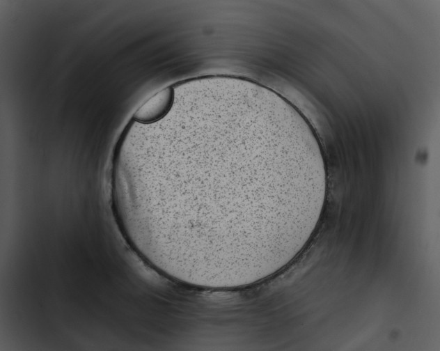 X0000102861140200809081300