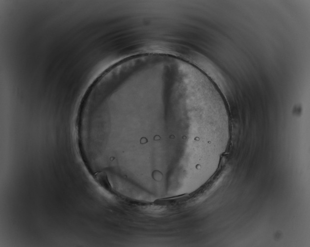 X0000102861141200809081300