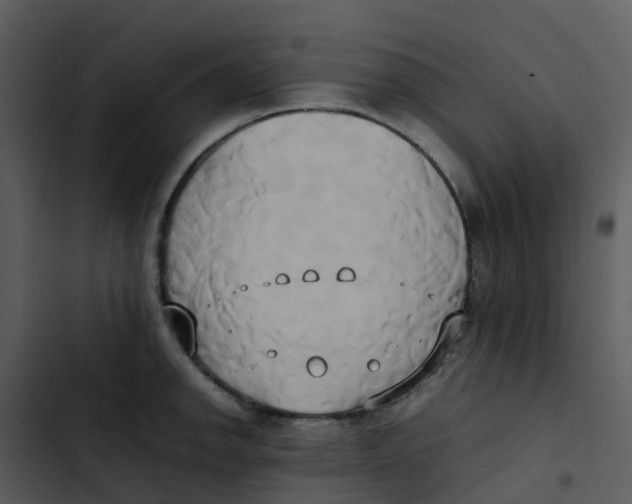 X0000102861142200809081300