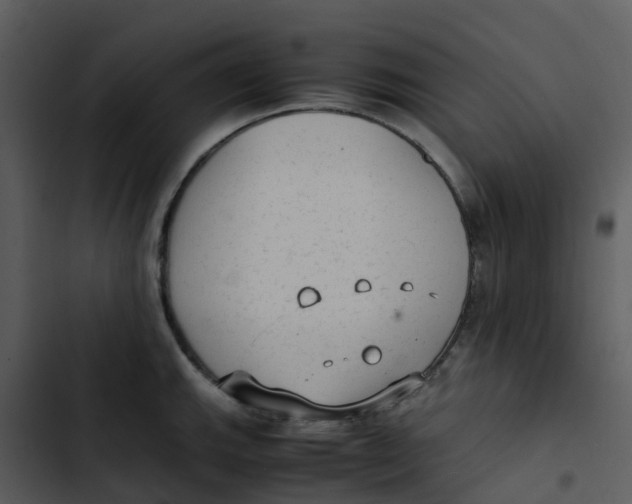 X0000102861143200809081300