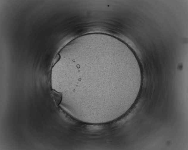 X0000102861145200809081300