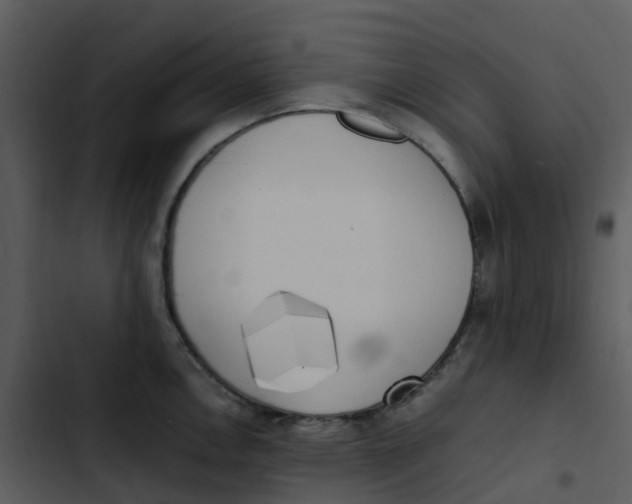 X0000102861146200809081300