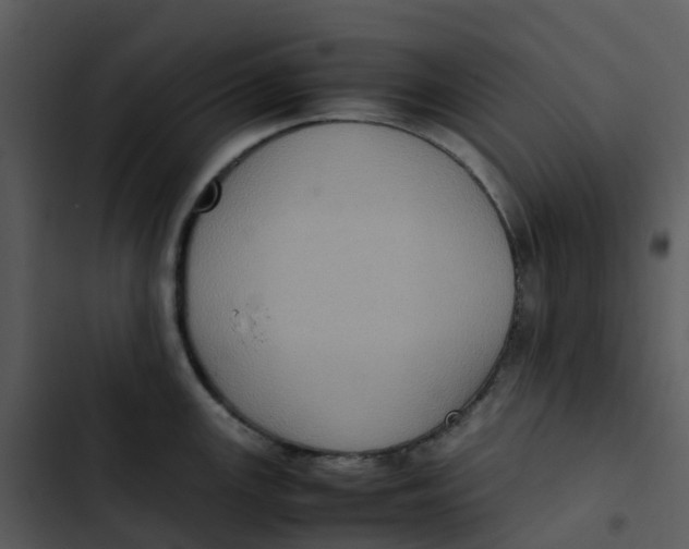 X0000102861147200809081300