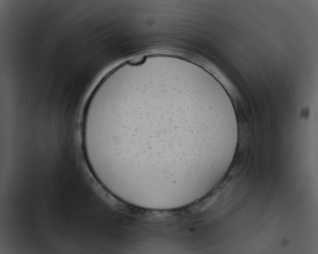 X0000102861148200809081300