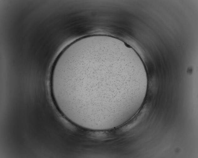 X0000102861149200809081300